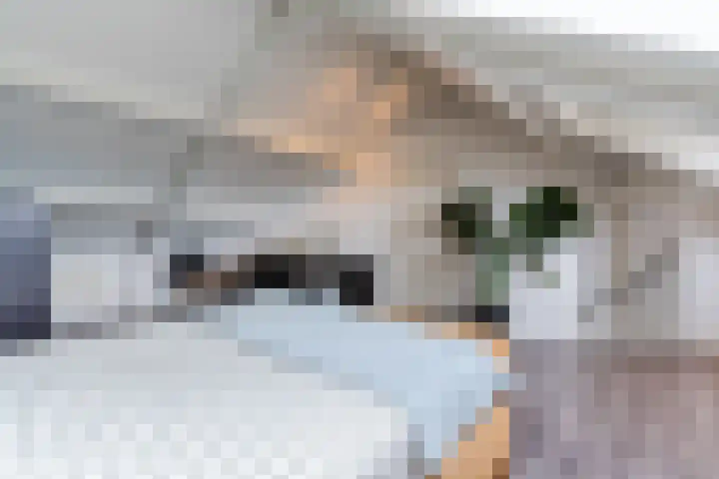 Spoorlaan 12 Heeze thumbnail 33