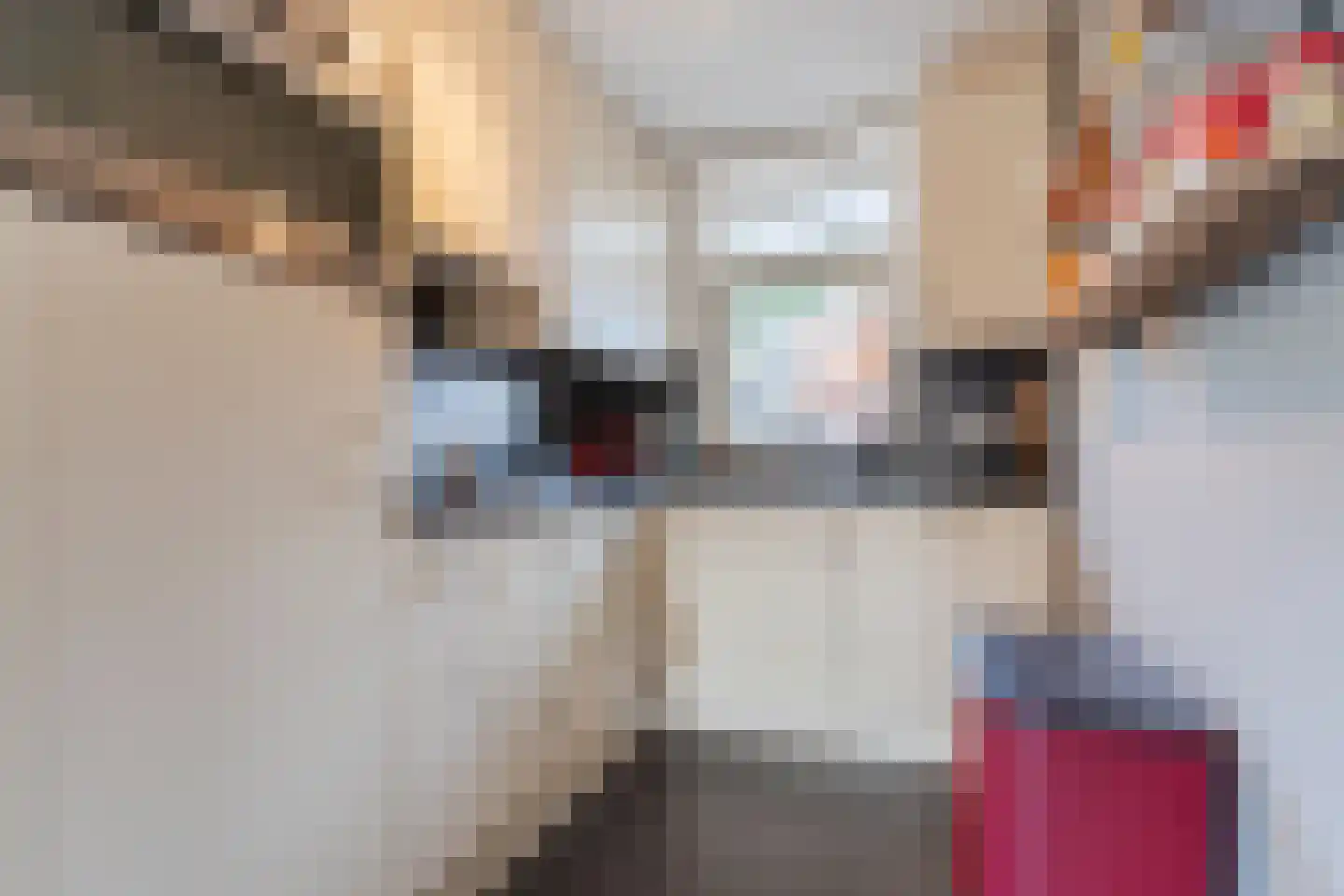 Spoorlaan 12 Heeze thumbnail 5