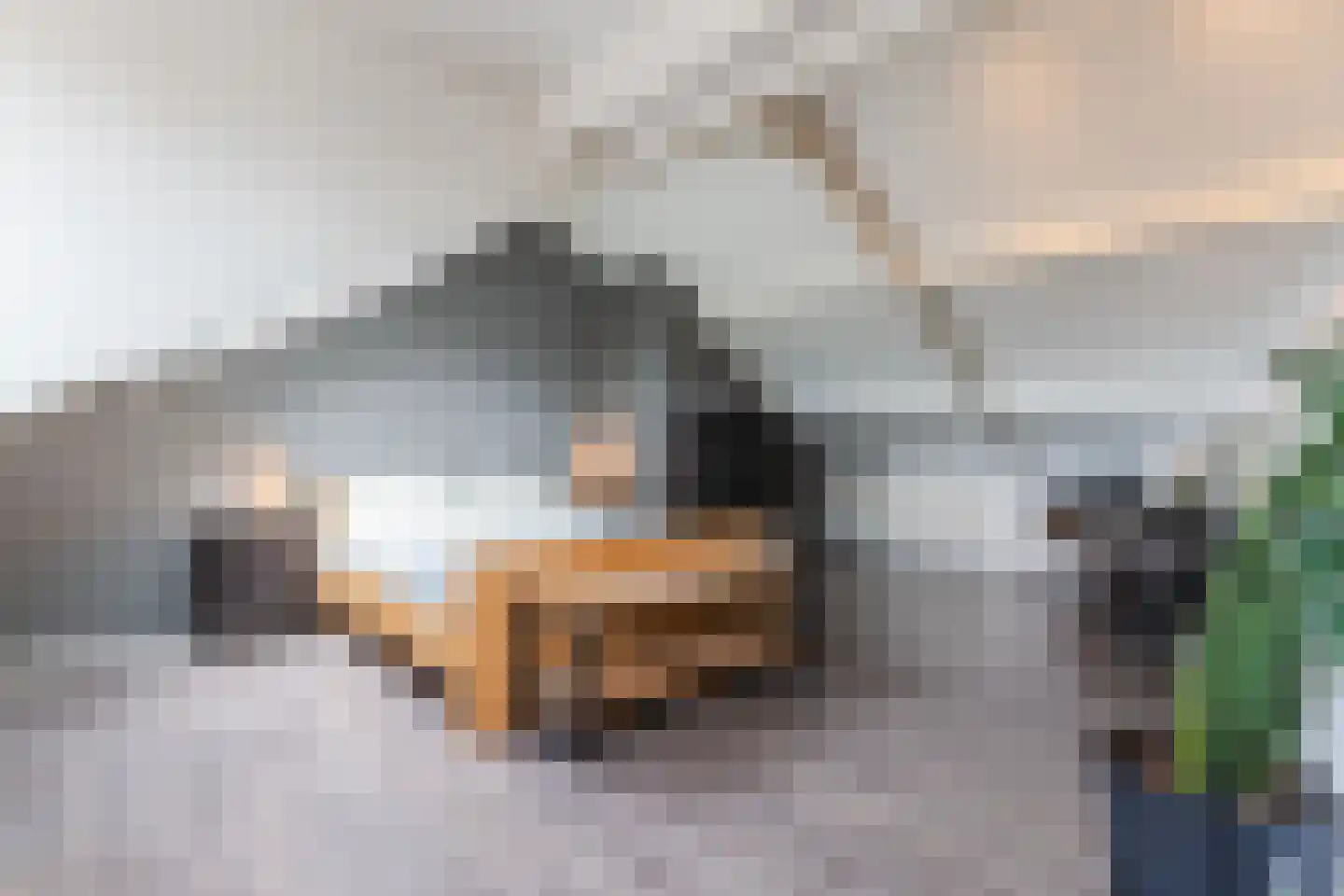Spoorlaan 12 Heeze thumbnail 9