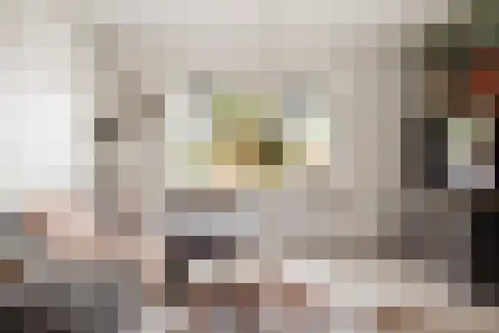 Spoorlaan 12 Schagen thumbnail 11