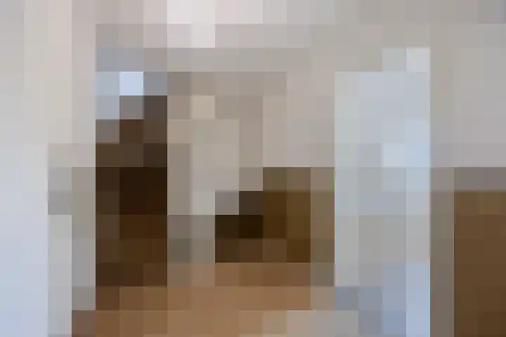 Spoorlaan 122 Oisterwijk thumbnail 25