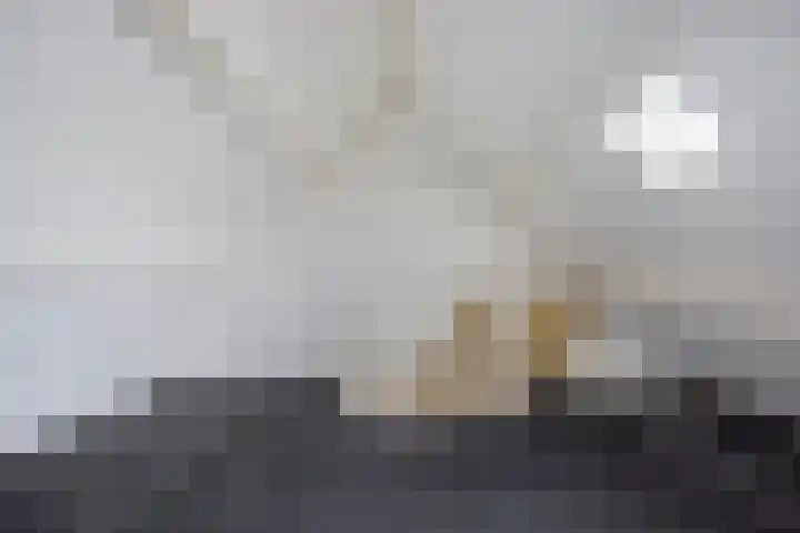 Spoorlaan 122 Oisterwijk thumbnail 26