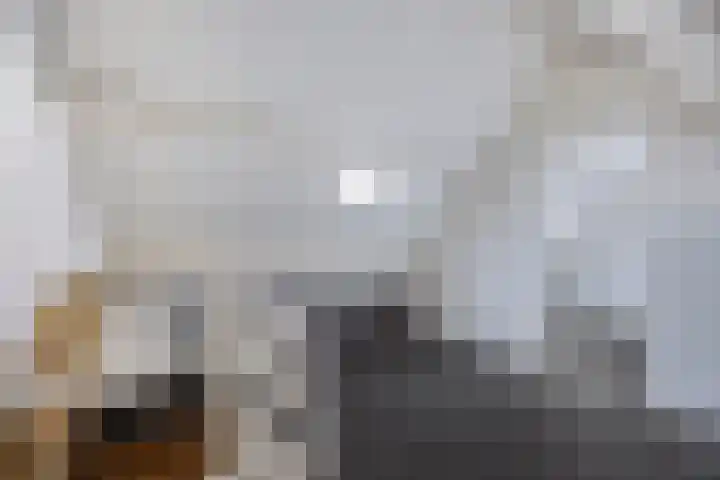 Spoorlaan 122 Oisterwijk thumbnail 27