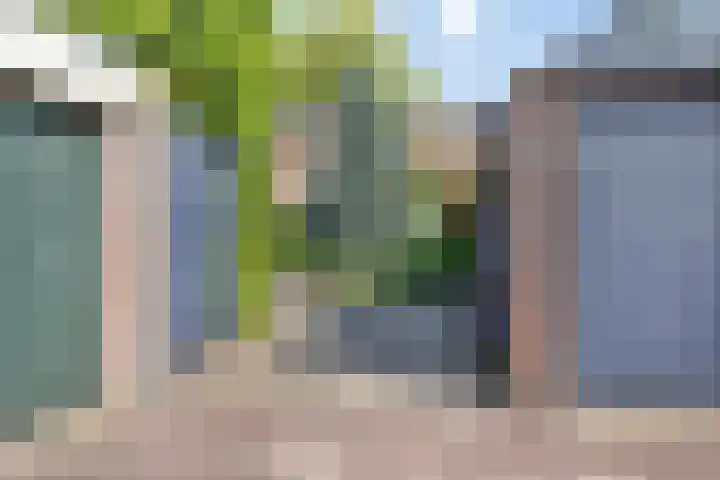 Spoorlaan 122 Oisterwijk thumbnail 32