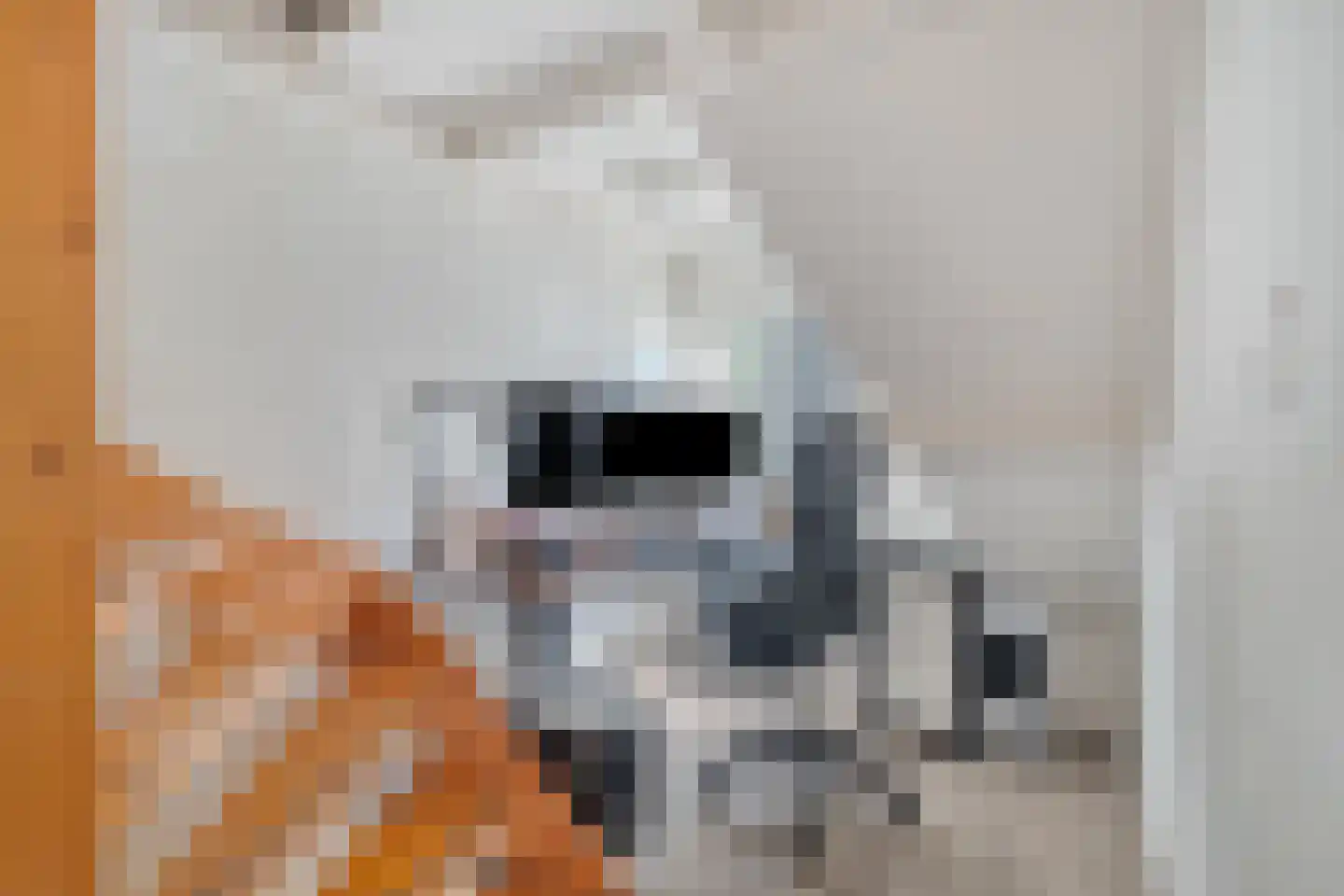 Spoorlaan 13 Schagen thumbnail 30