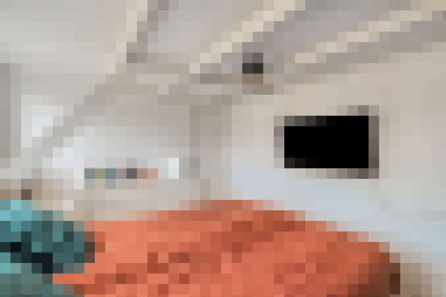 Spoorlaan 13 Schagen thumbnail 33