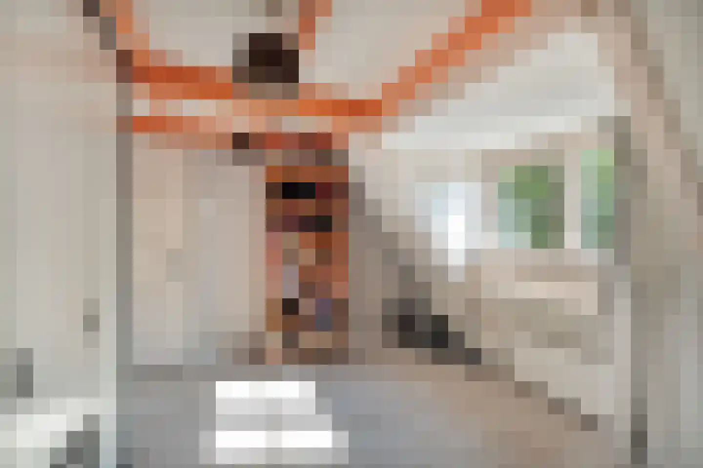 Spoorlaan 13 Schagen thumbnail 34
