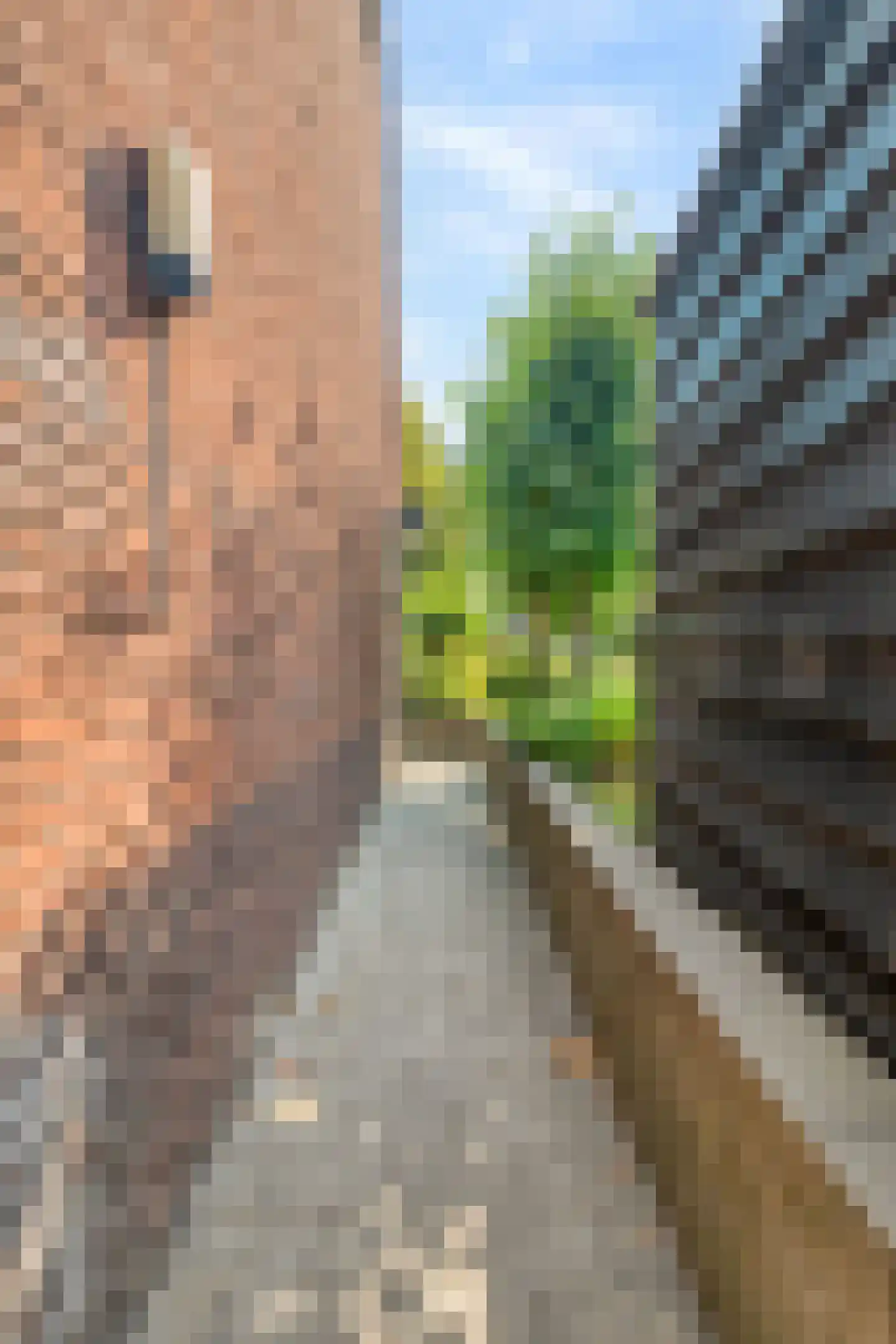 Spoorlaan 13 Schagen thumbnail 42