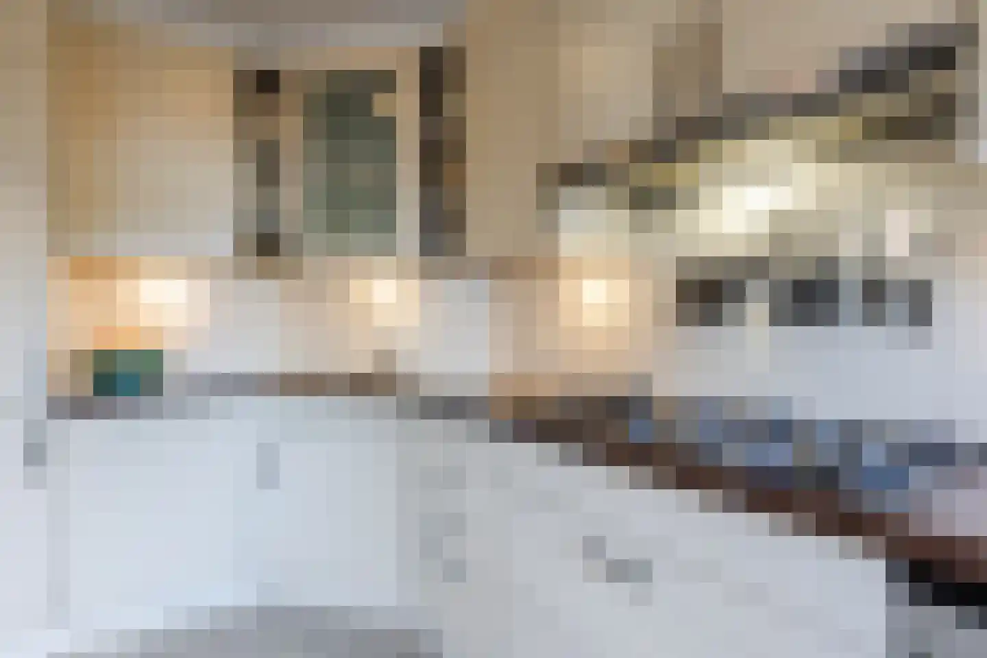 Spoorlaan 14 Bodegraven thumbnail 23