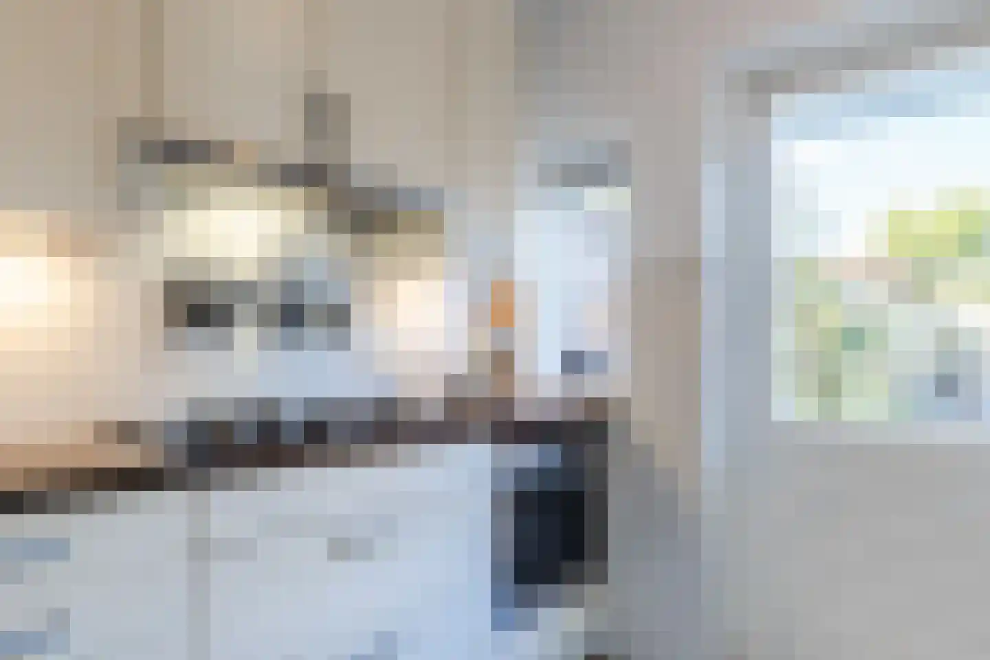 Spoorlaan 14 Bodegraven thumbnail 24