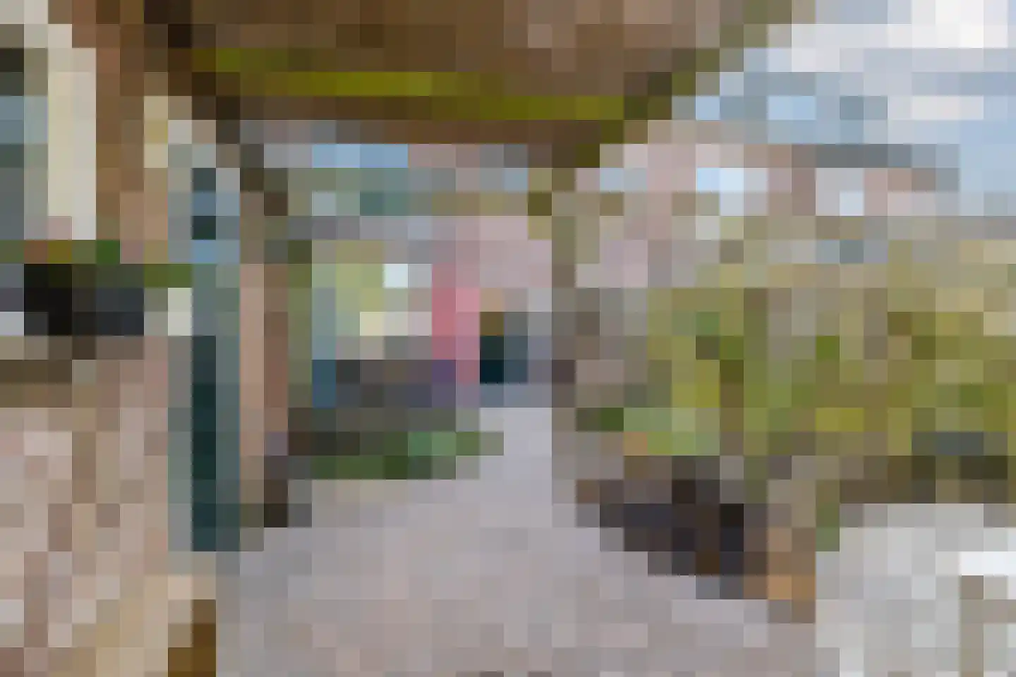 Spoorlaan 14 Bodegraven thumbnail 40