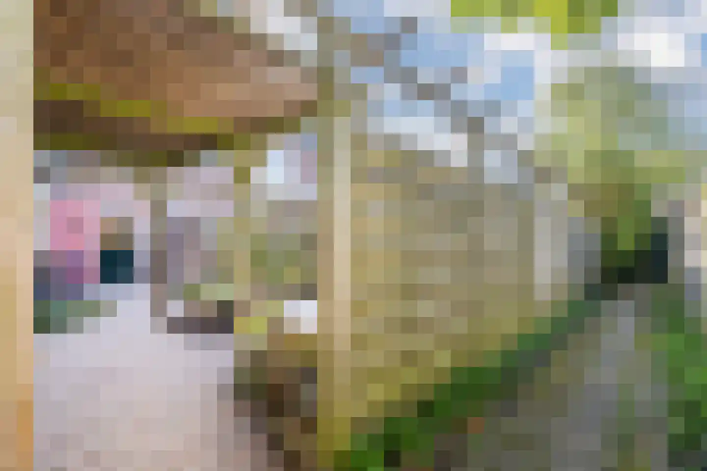 Spoorlaan 14 Bodegraven thumbnail 44