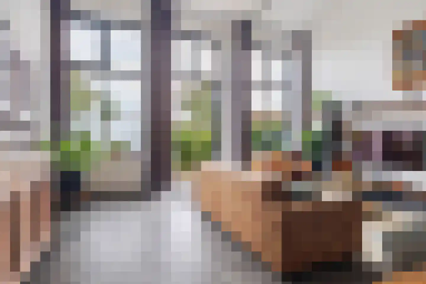 Spoorlaan 16 E Veghel thumbnail 17