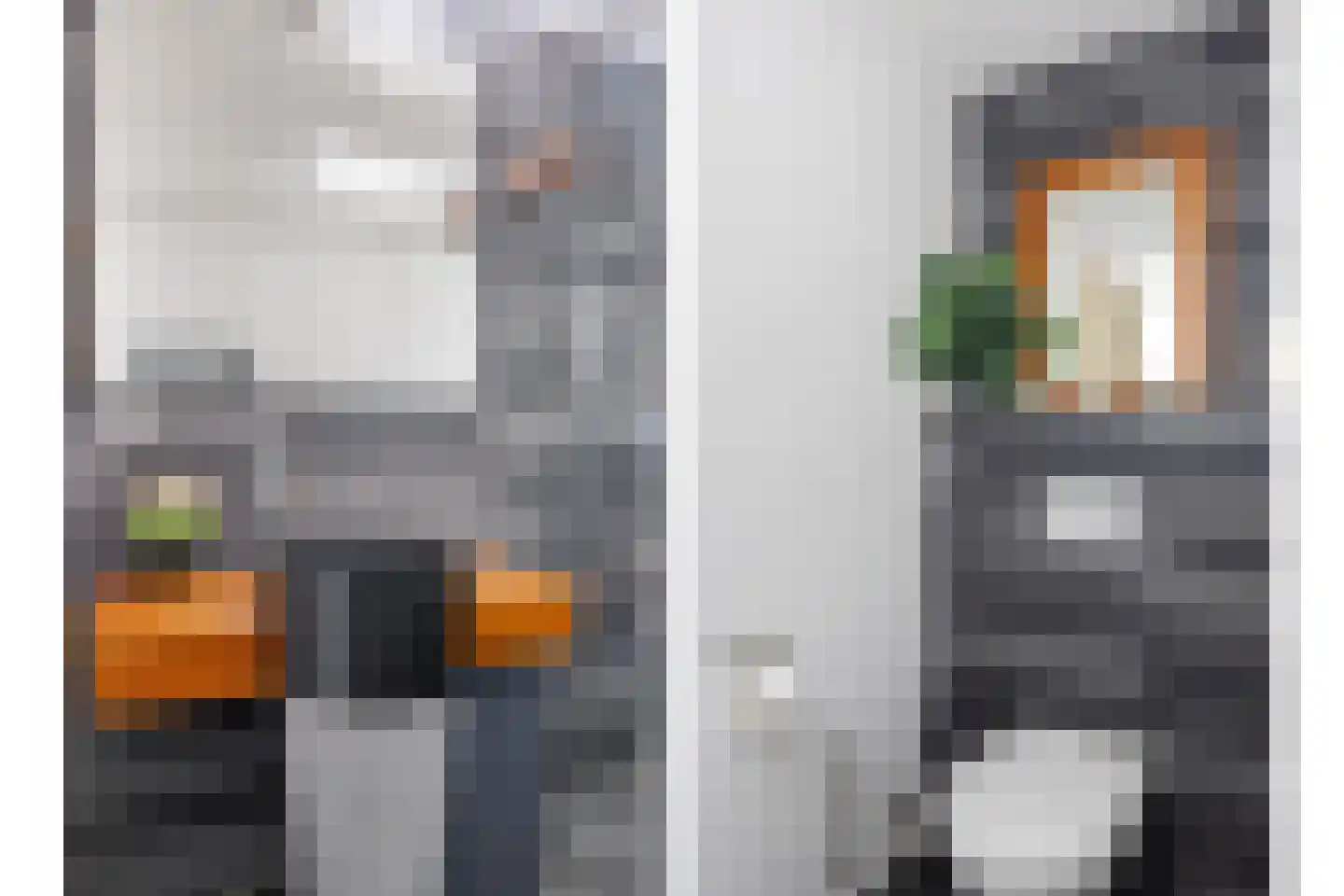 Spoorlaan 16 E Veghel thumbnail 22