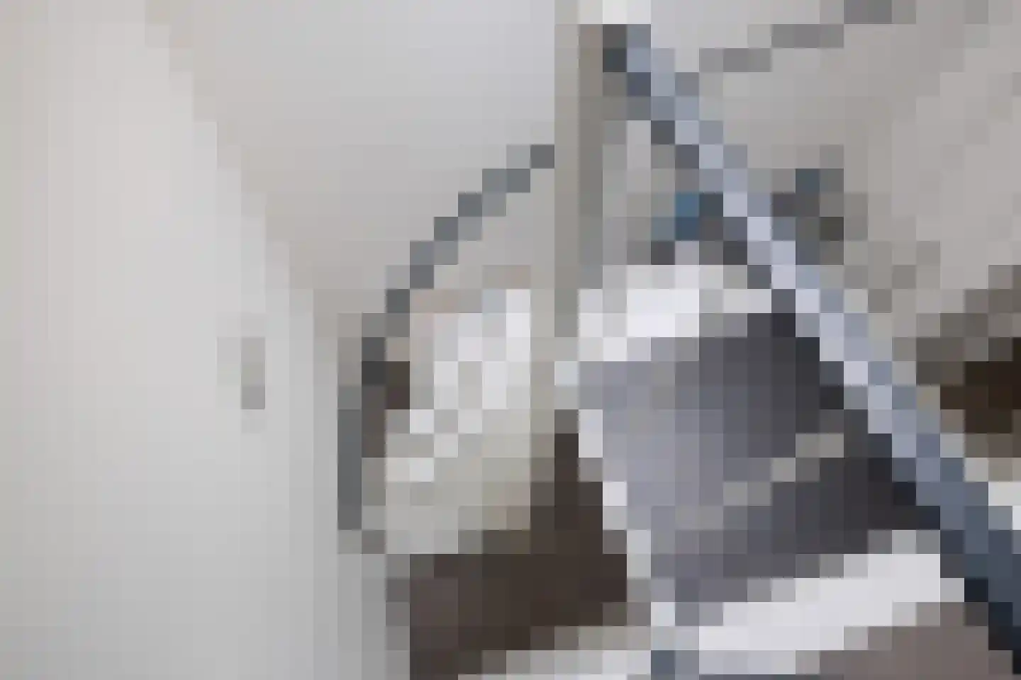 Spoorlaan 16 E Veghel thumbnail 24