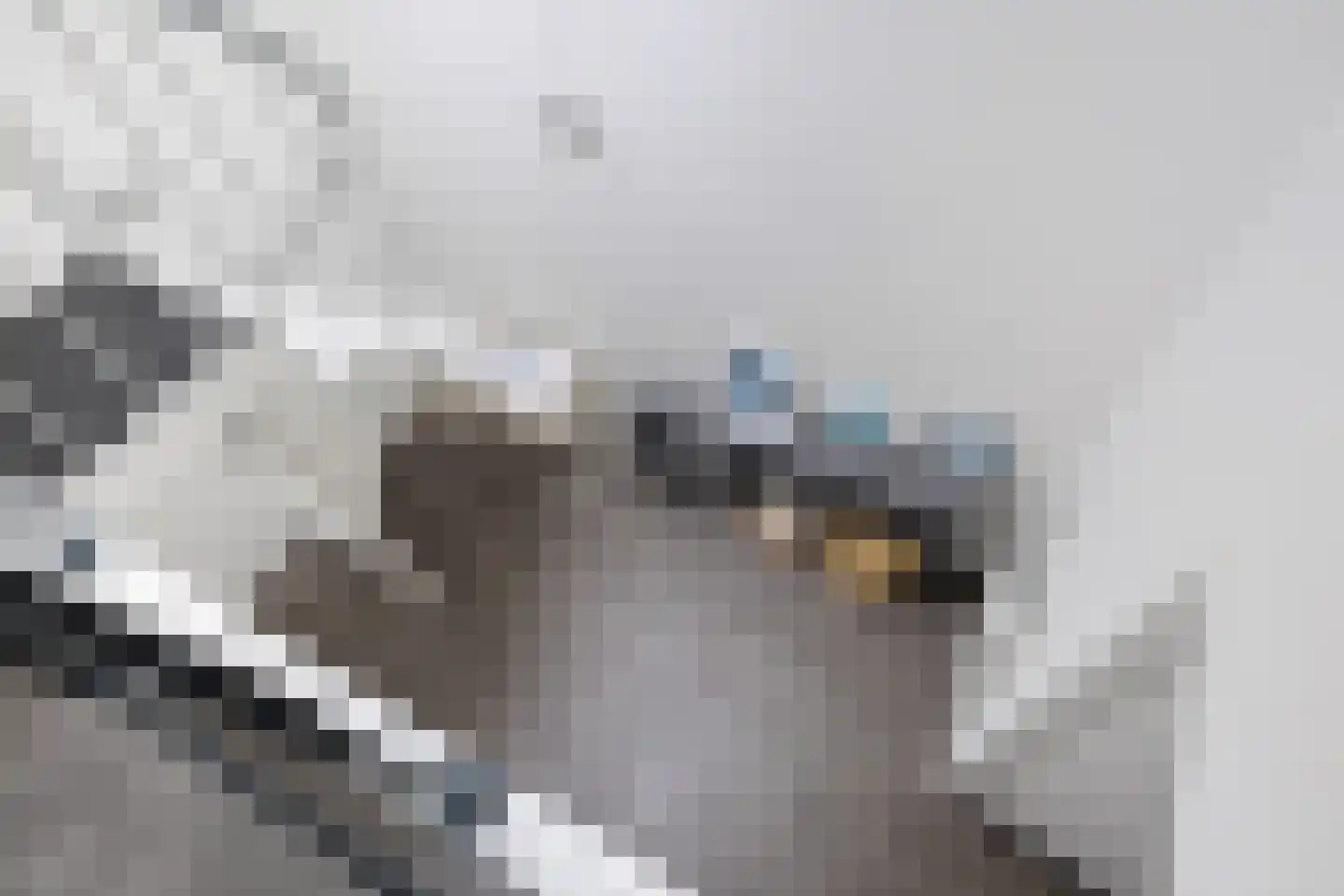 Spoorlaan 16 E Veghel thumbnail 25