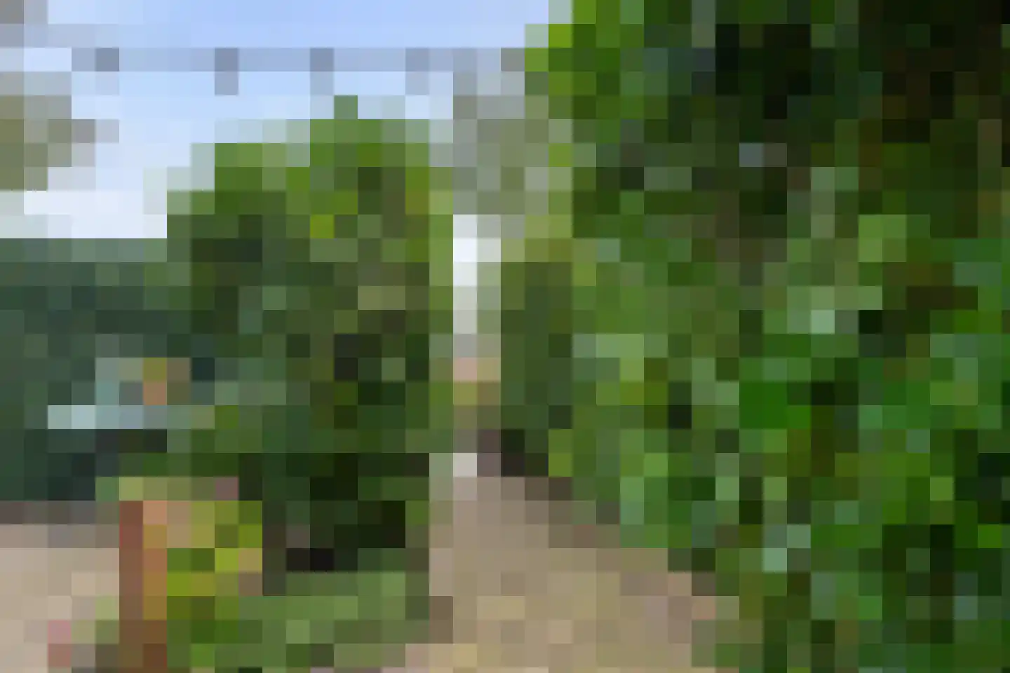Spoorlaan 16 E Veghel thumbnail 32