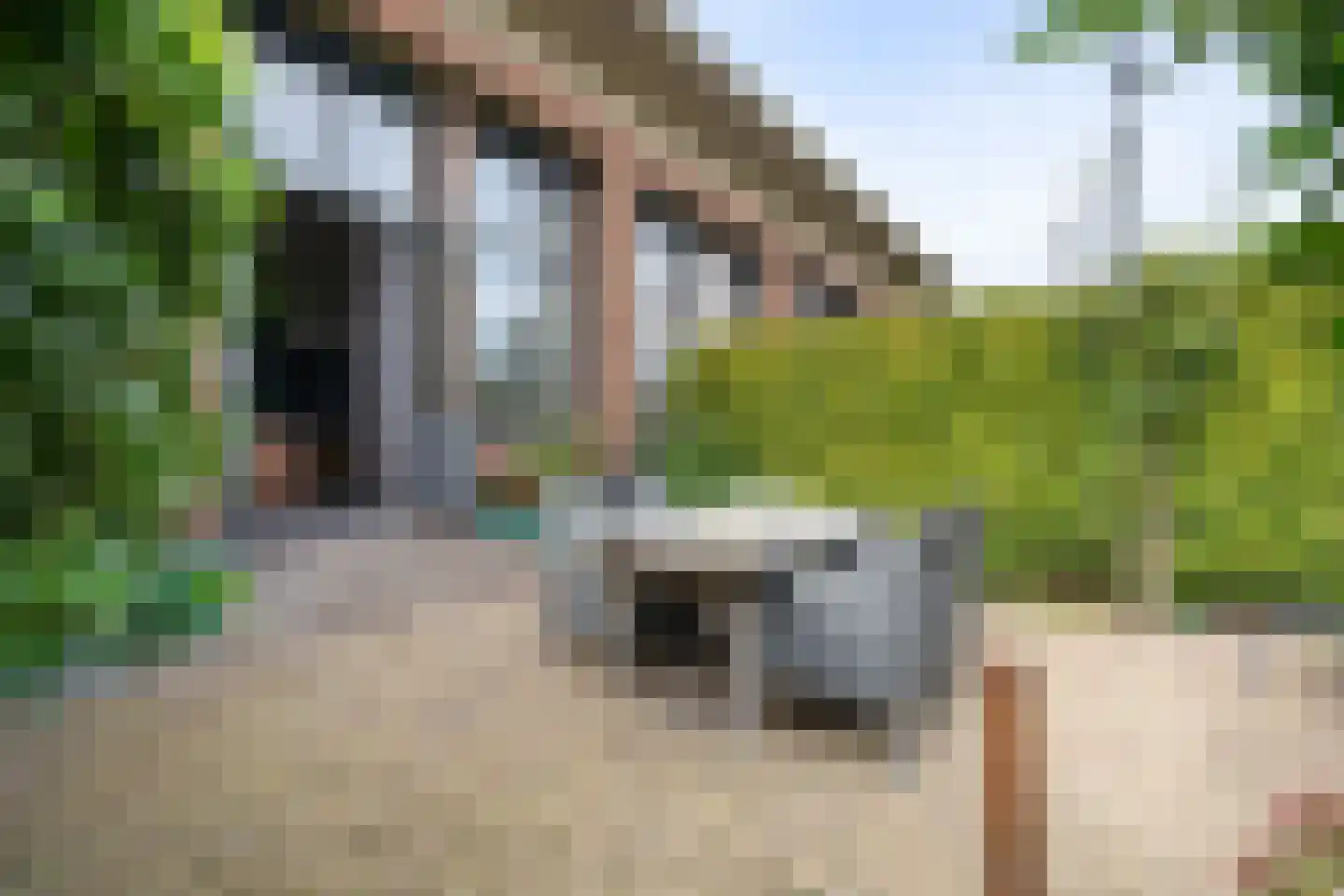 Spoorlaan 16 E Veghel thumbnail 33