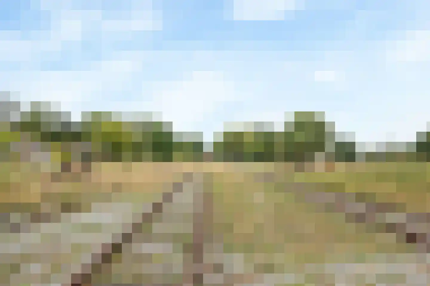 Spoorlaan 16 E Veghel thumbnail 37