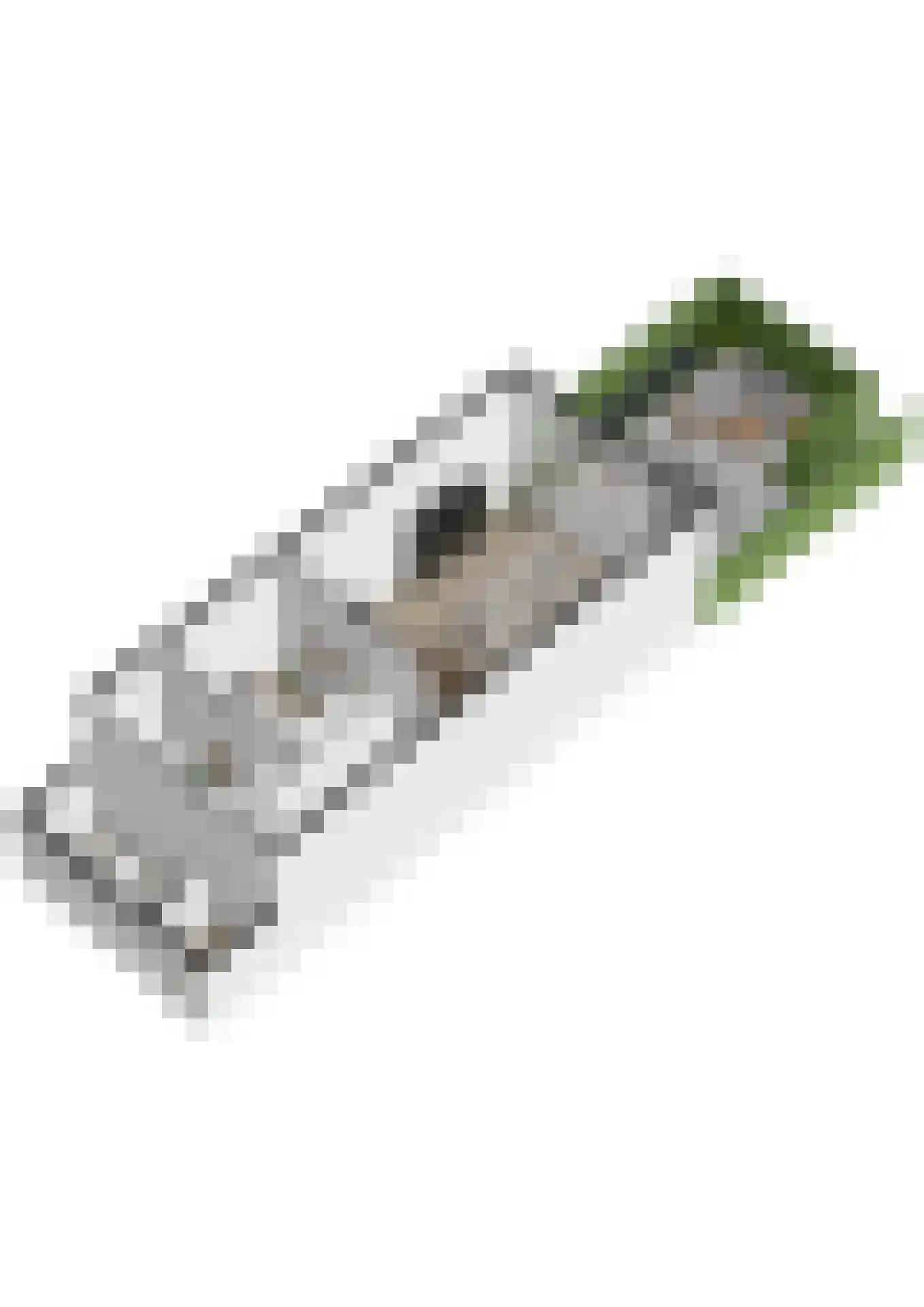 Spoorlaan 16 E Veghel thumbnail 42