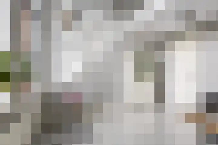 Spoorlaan 16 W Veghel thumbnail 18