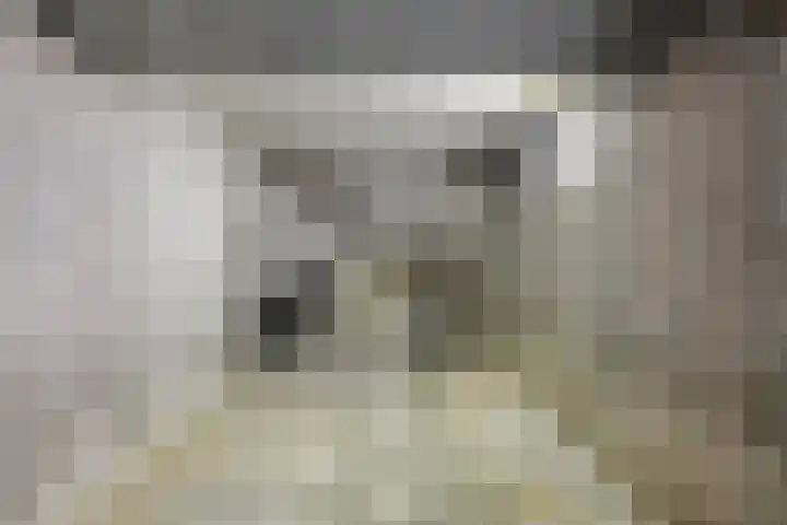 Spoorlaan 16 W Veghel thumbnail 32