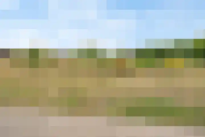 Spoorlaan 16 W Veghel thumbnail 36