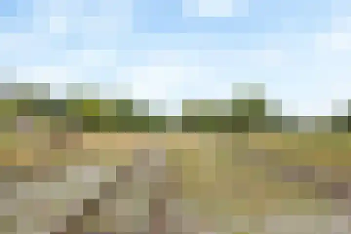 Spoorlaan 16 W Veghel thumbnail 38