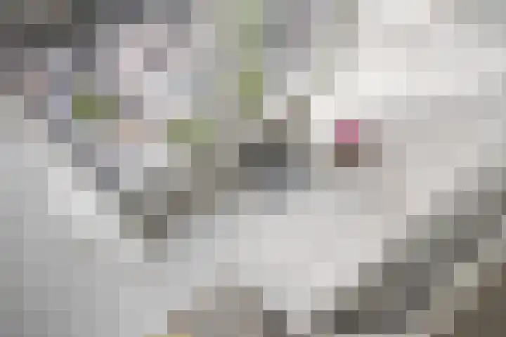 Spoorlaan 16 W Veghel thumbnail 4