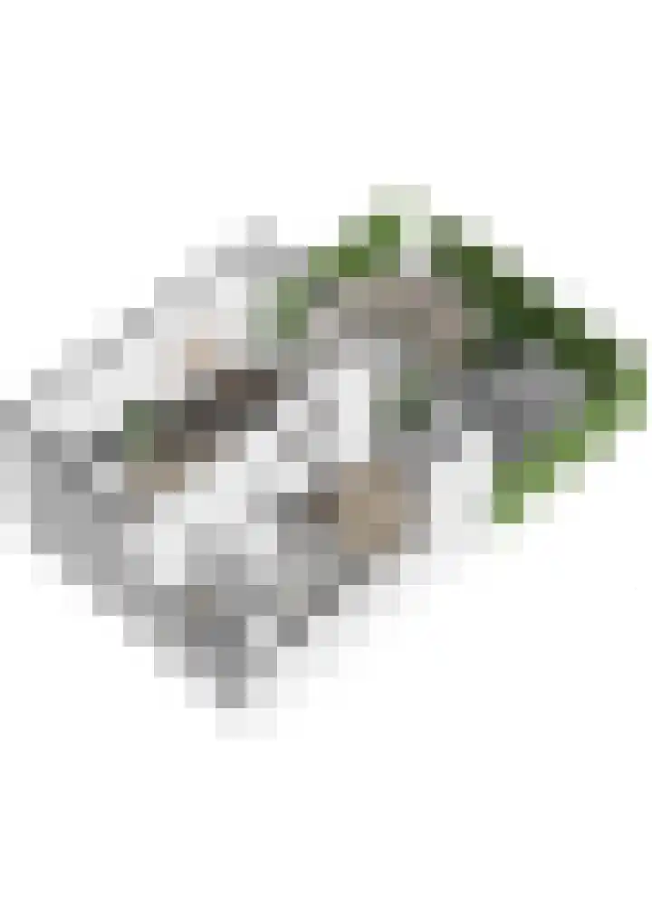 Spoorlaan 16 W Veghel thumbnail 44