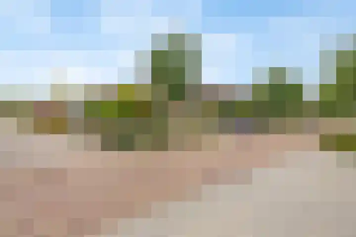 Spoorlaan 16 W Veghel thumbnail 6