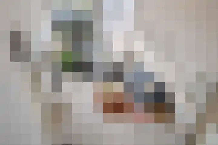 Spoorlaan 16 Z Veghel thumbnail 14