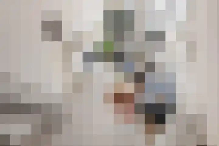 Spoorlaan 16 Z Veghel thumbnail 15