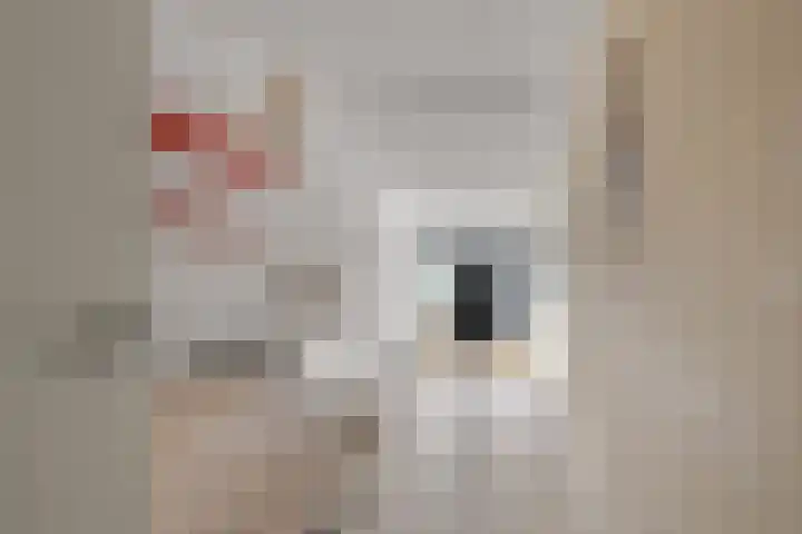 Spoorlaan 16 Z Veghel thumbnail 19