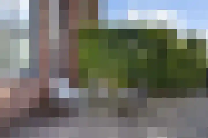 Spoorlaan 16 Z Veghel thumbnail 28
