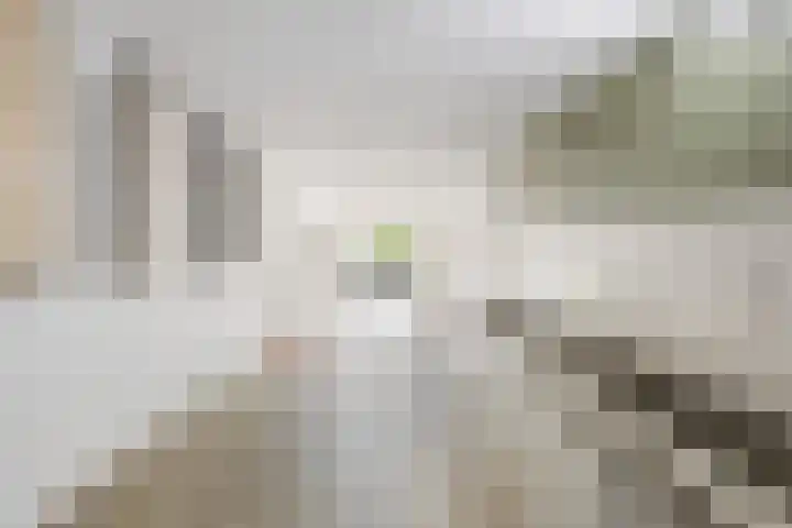 Spoorlaan 16 Z Veghel thumbnail 32