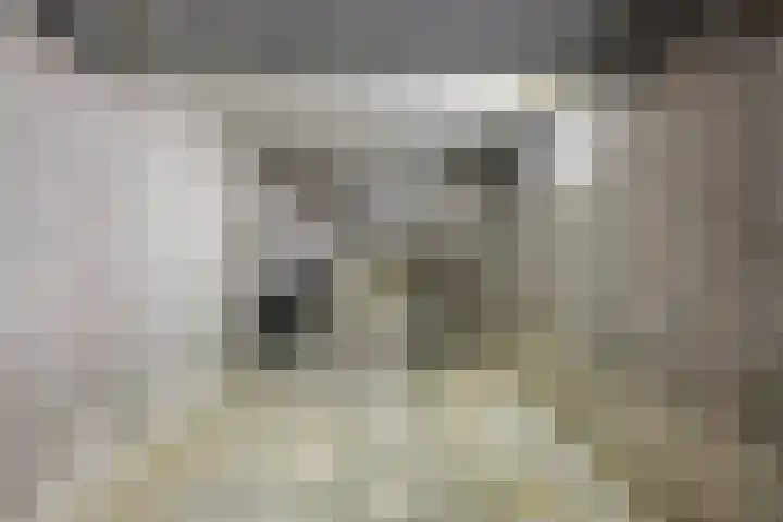 Spoorlaan 16 Z Veghel thumbnail 34