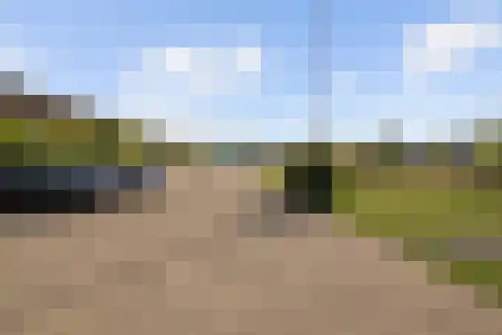 Spoorlaan 16 Z Veghel thumbnail 35