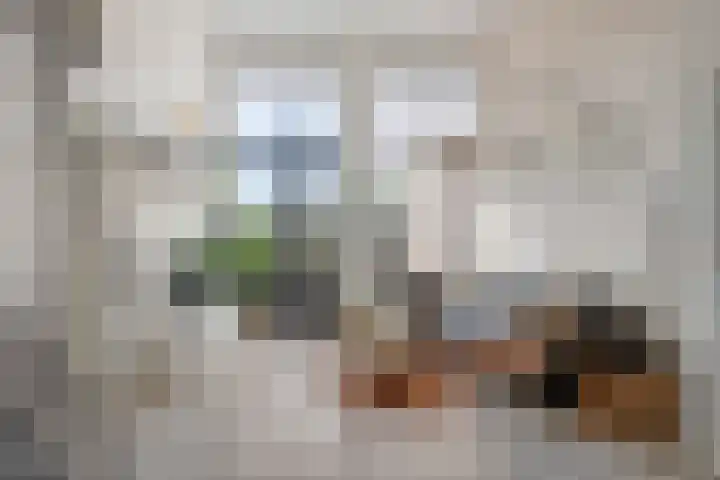 Spoorlaan 16 Z Veghel thumbnail 4