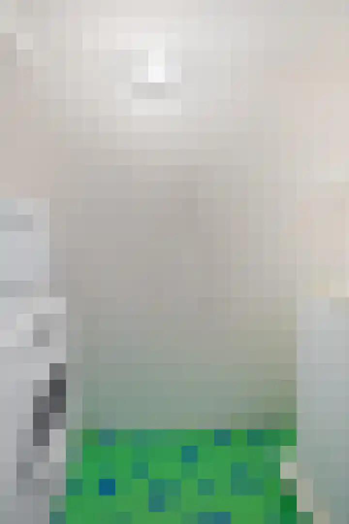 Spoorlaan 16 Z Veghel thumbnail 43