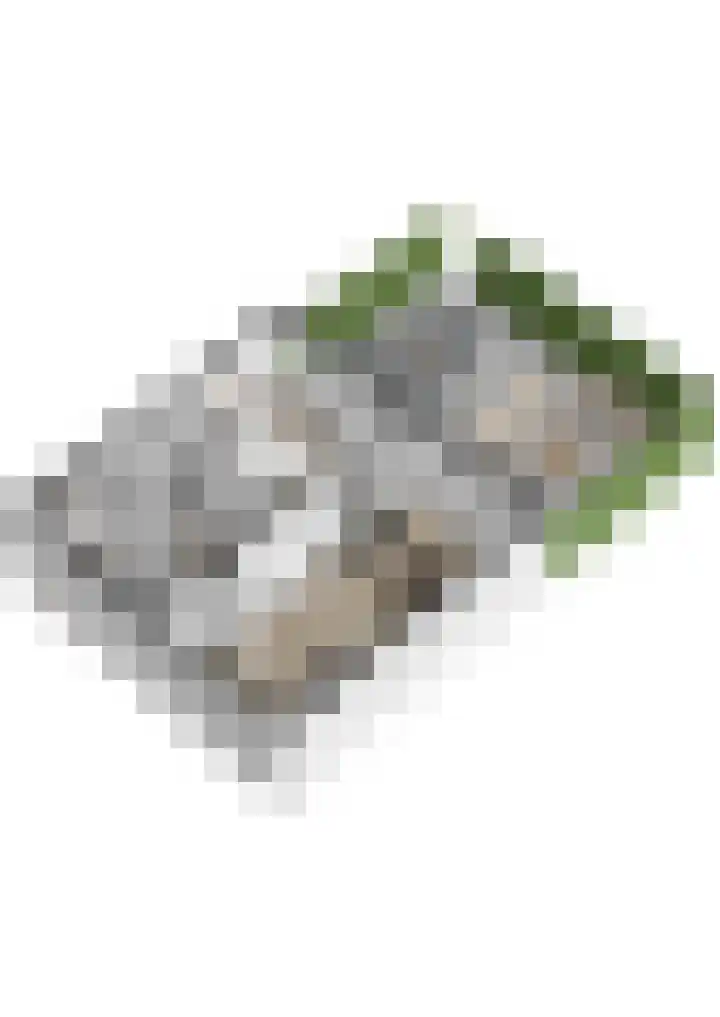 Spoorlaan 16 Z Veghel thumbnail 47