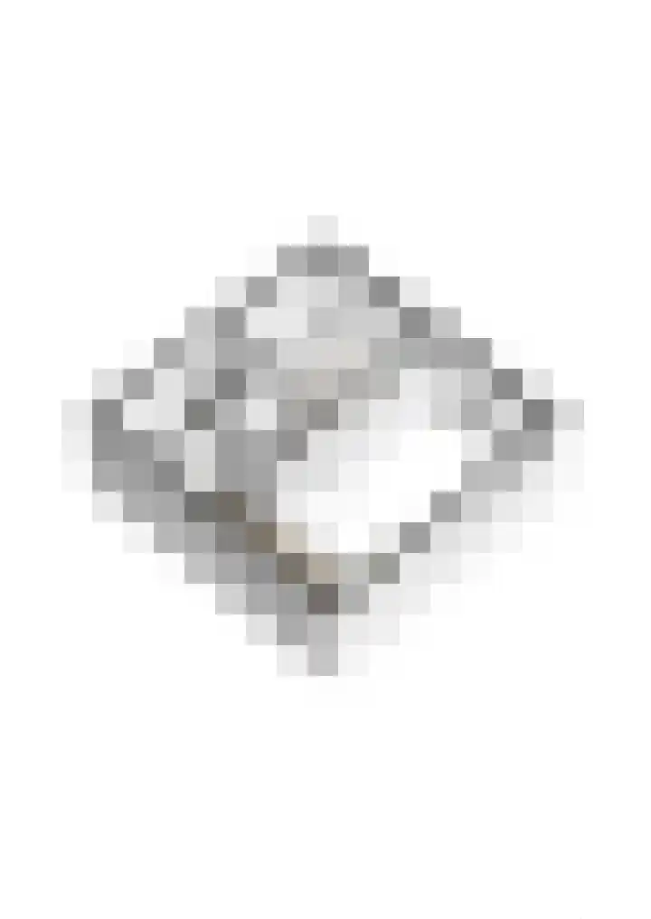 Spoorlaan 16 Z Veghel thumbnail 48