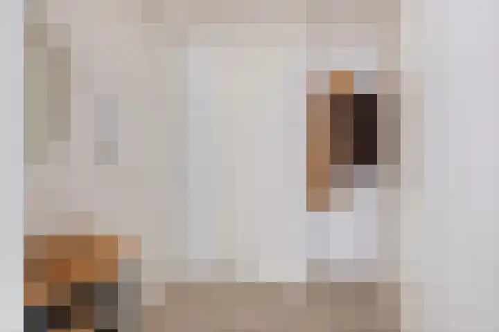 Spoorlaan 16 Z Veghel thumbnail 8