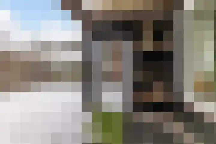 Spoorlaan 17 Wezep thumbnail 31
