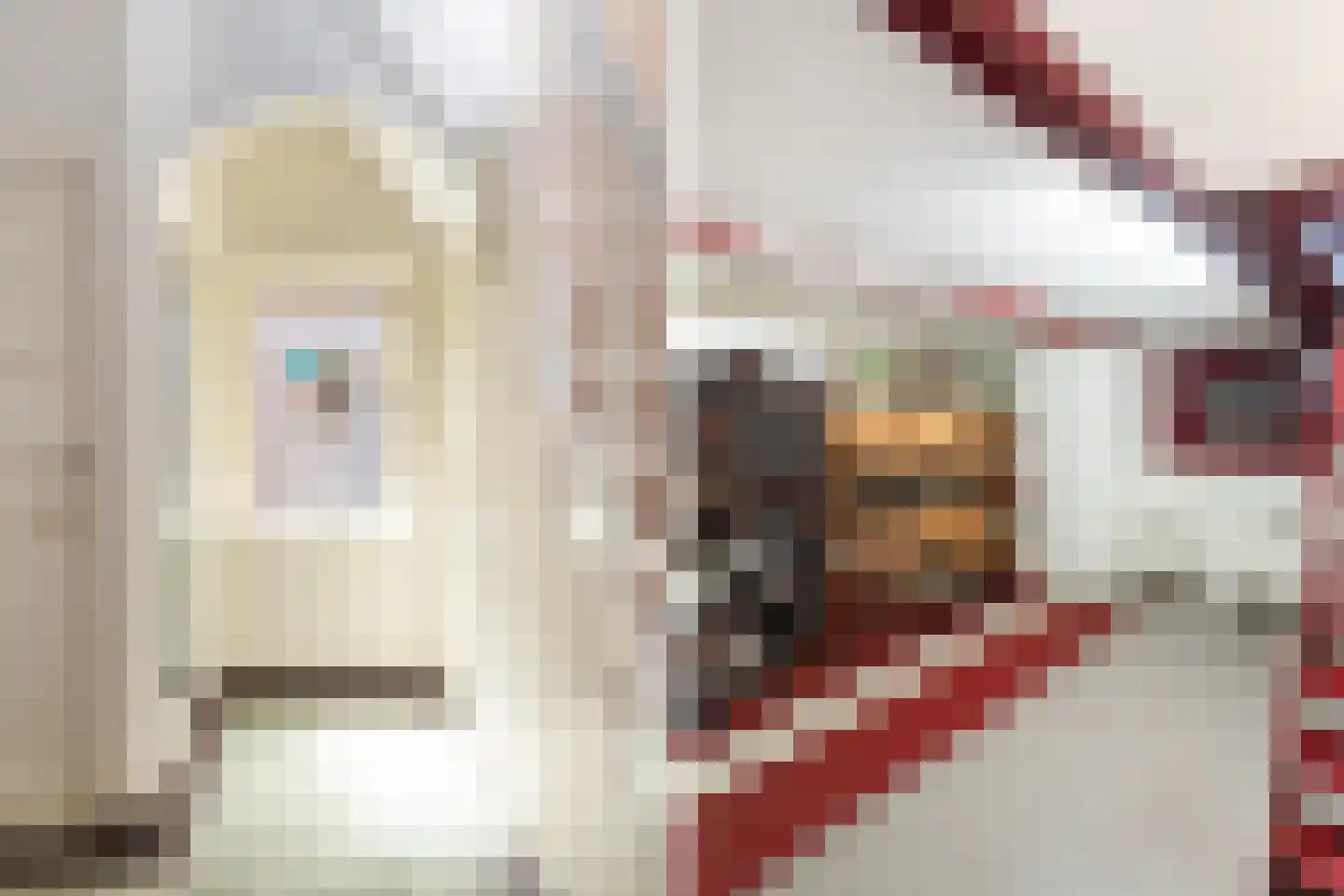 Spoorlaan 2 Zwammerdam thumbnail 13