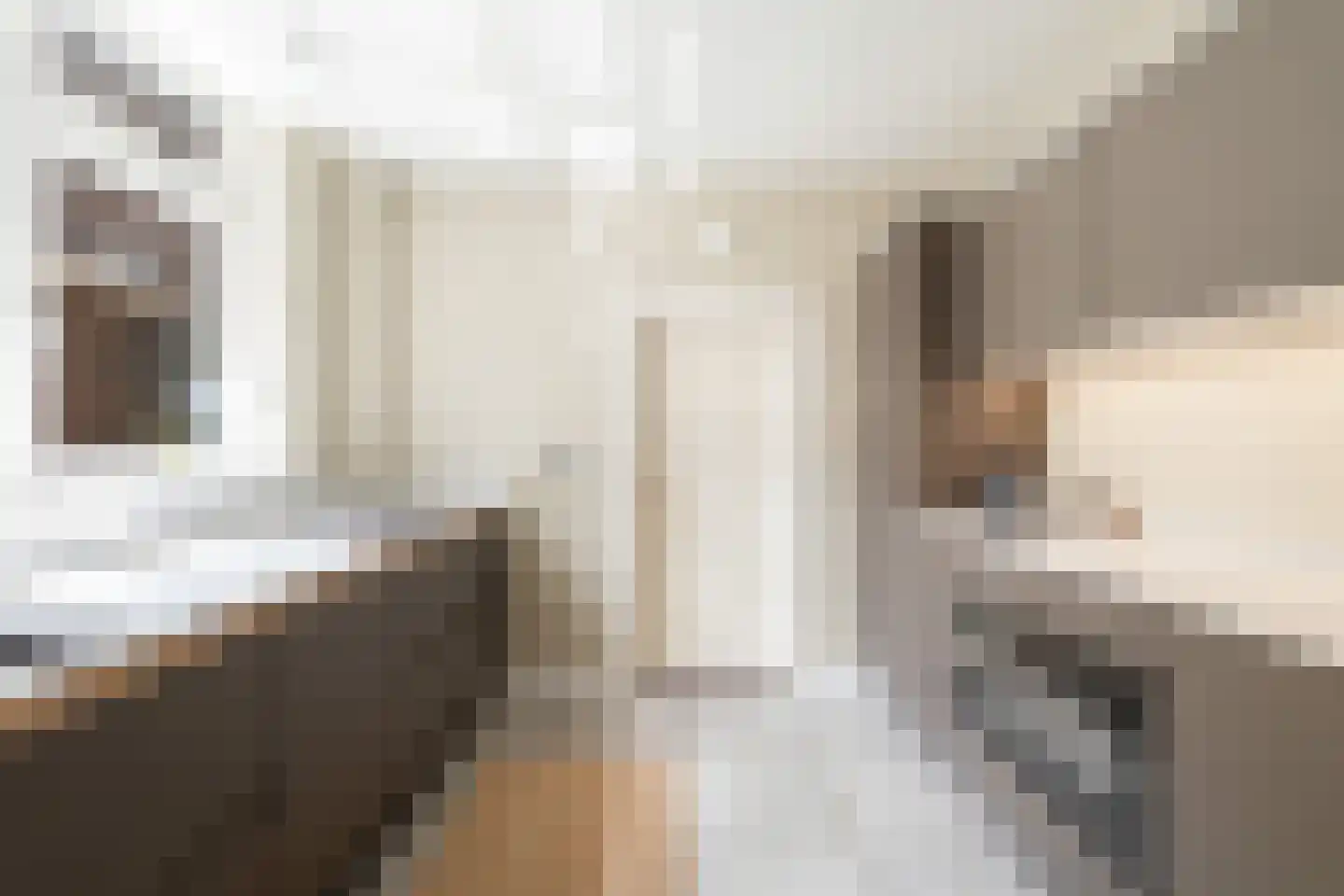 Spoorlaan 2 Zwammerdam thumbnail 28