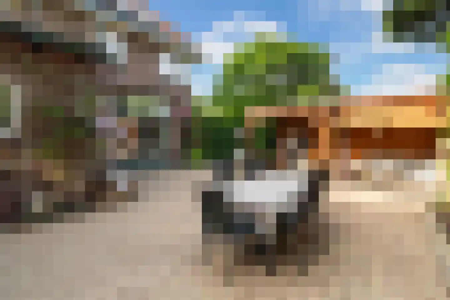 Spoorlaan 2 Zwammerdam thumbnail 36