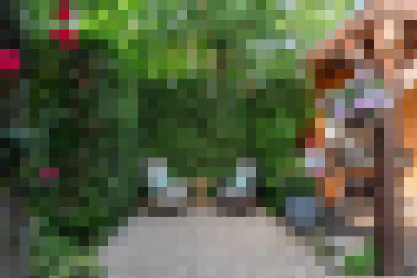 Spoorlaan 2 Zwammerdam thumbnail 41