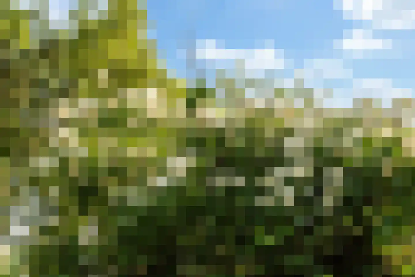Spoorlaan 2 Zwammerdam thumbnail 44