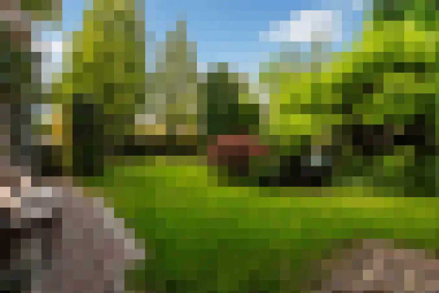 Spoorlaan 2 Zwammerdam thumbnail 45